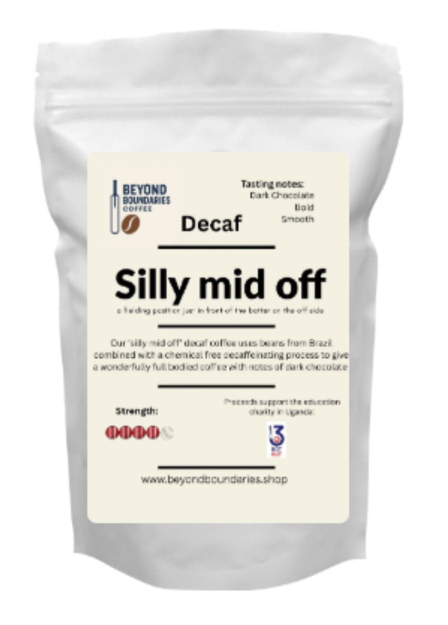 Silly mid off