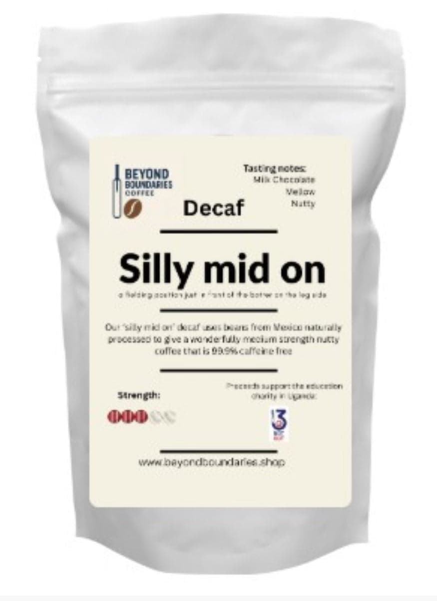 Silly mid on