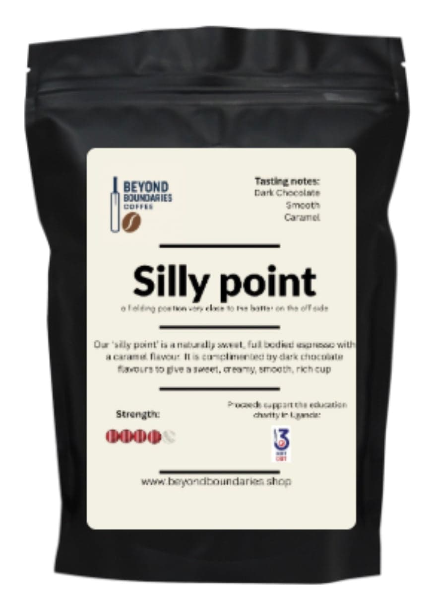 Silly point