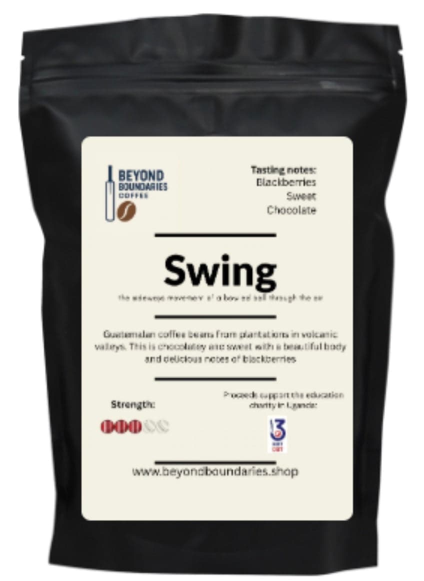 Swing